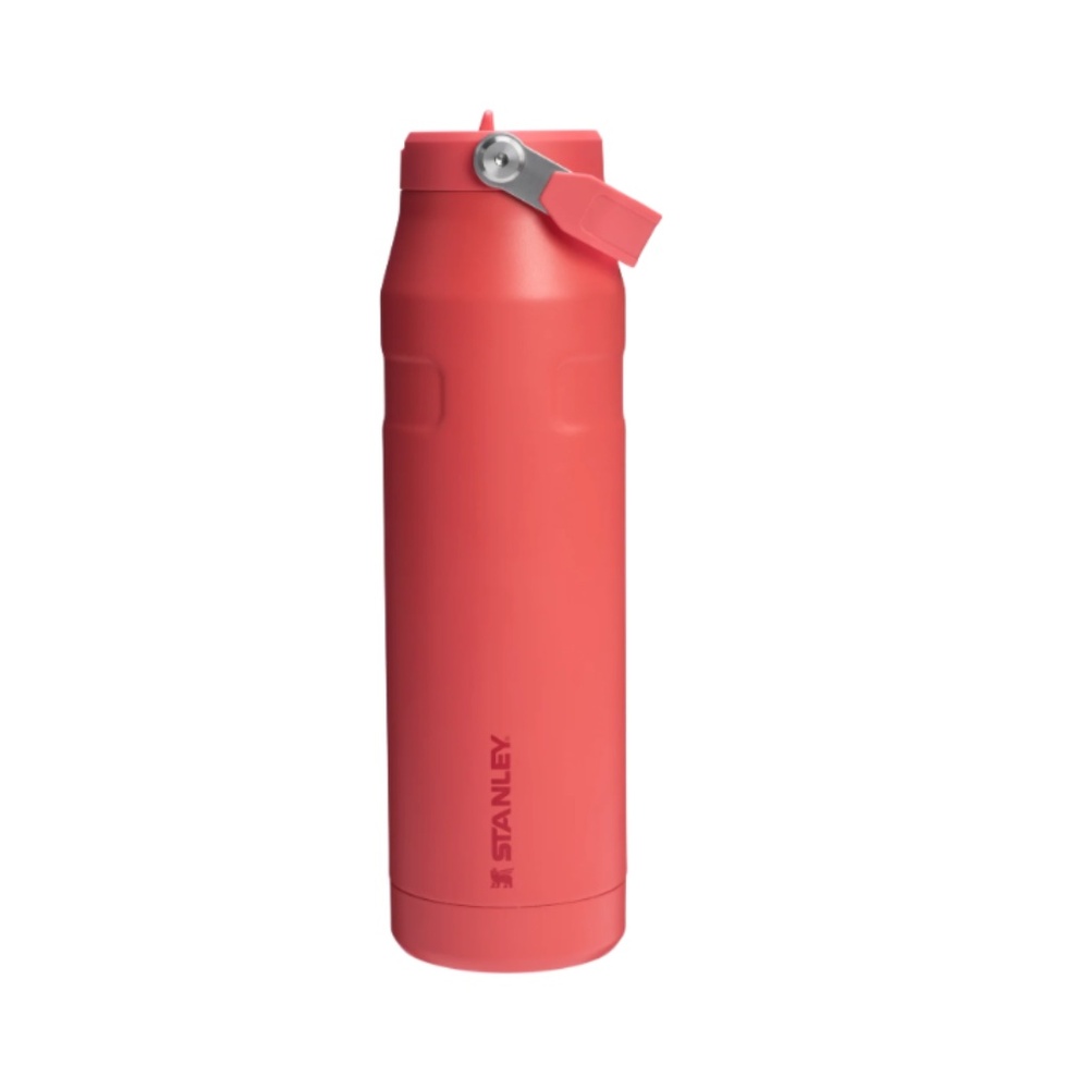 Stanley bottle with flip straw